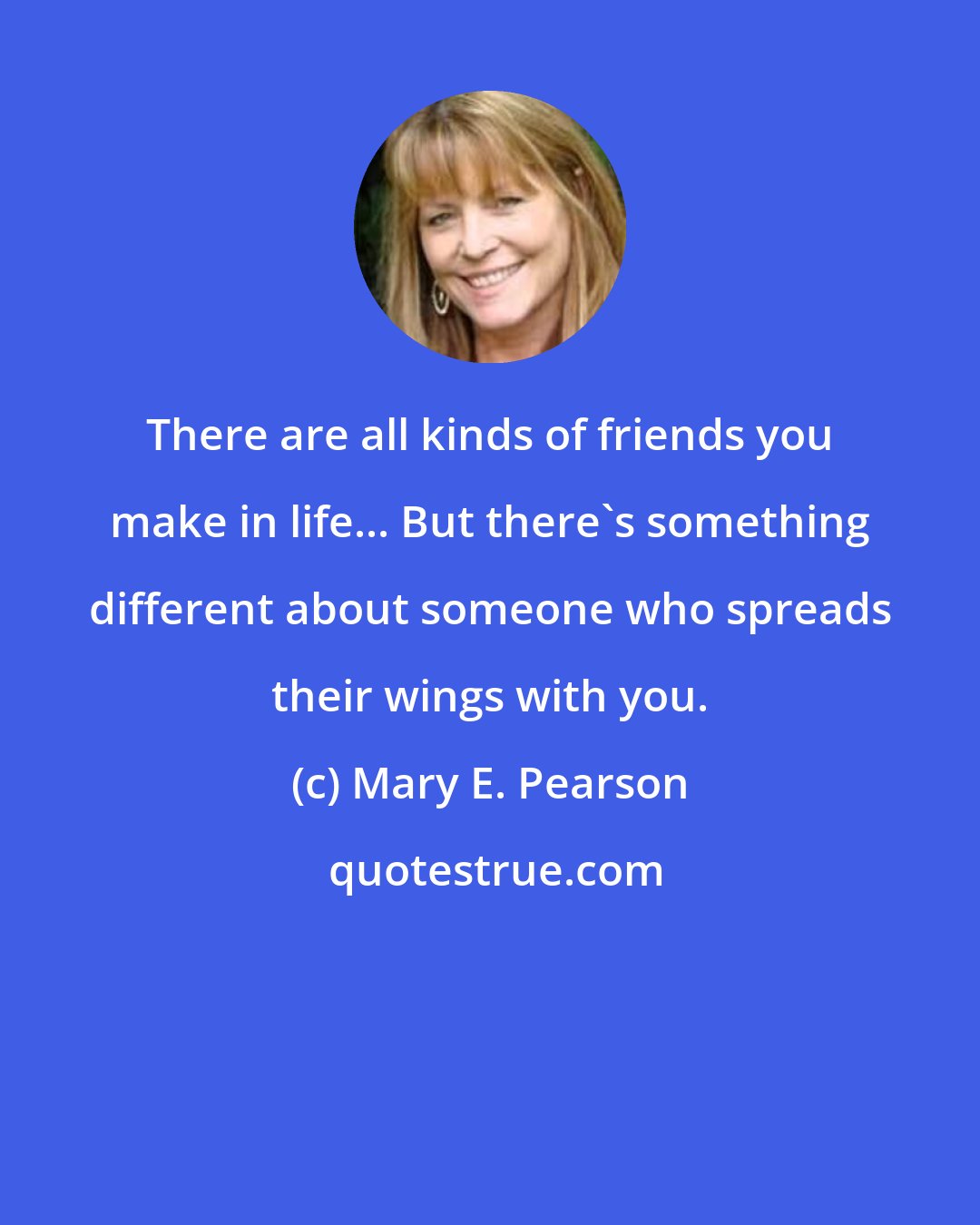 Mary E. Pearson: There are all kinds of friends you make in life... But there's something different about someone who spreads their wings with you.