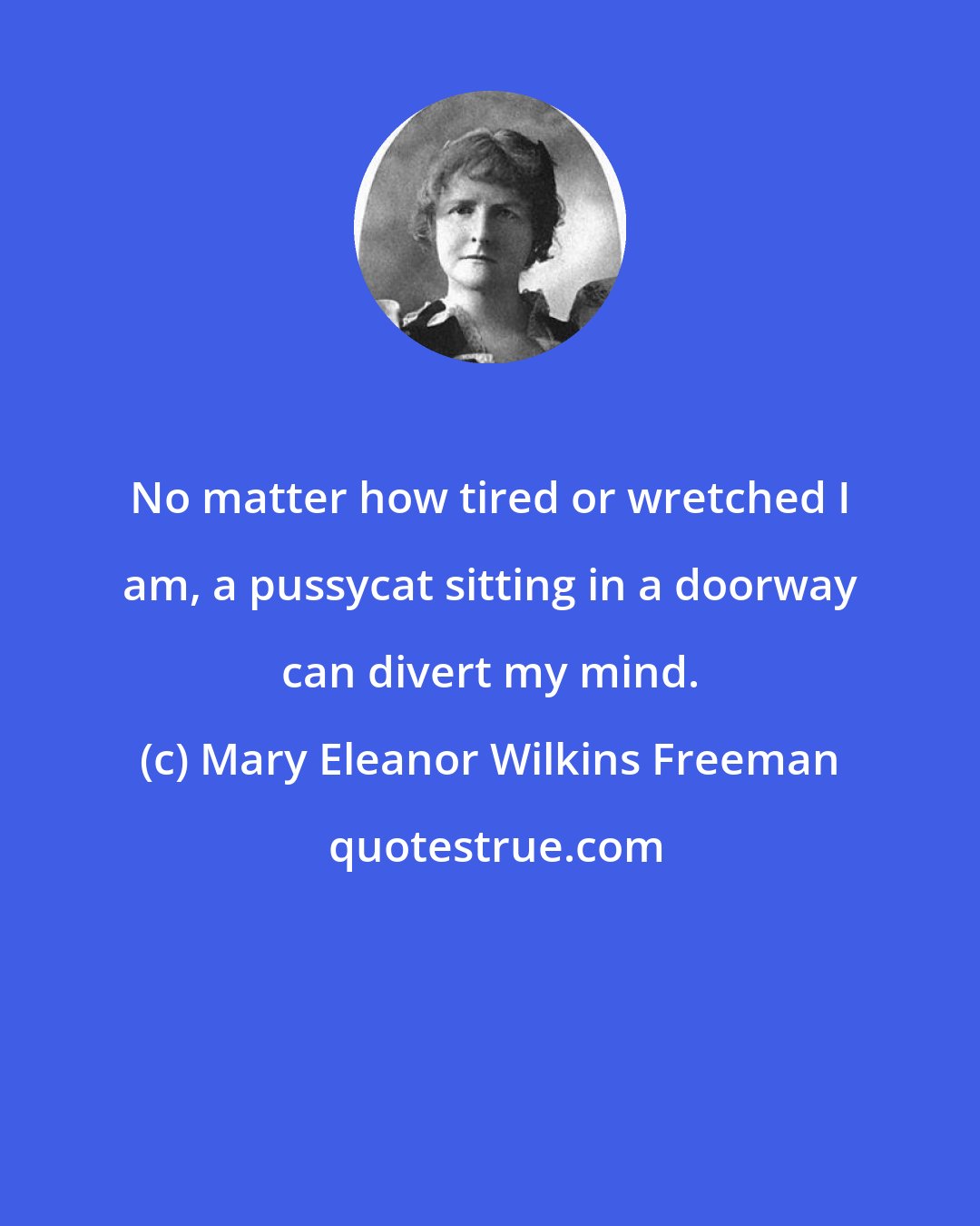 Mary Eleanor Wilkins Freeman: No matter how tired or wretched I am, a pussycat sitting in a doorway can divert my mind.