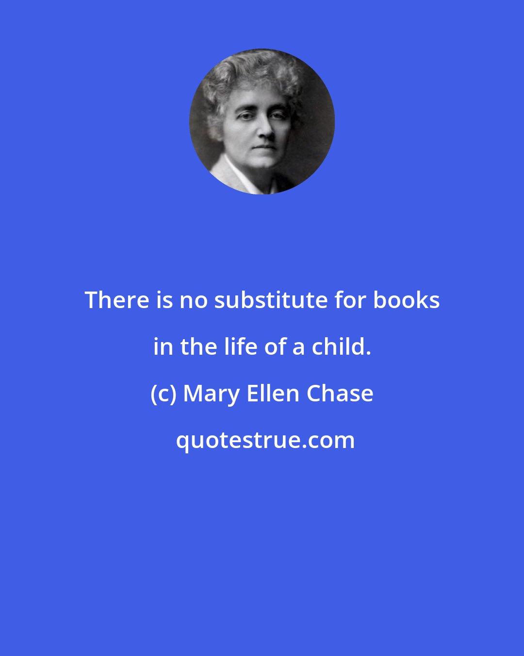Mary Ellen Chase: There is no substitute for books in the life of a child.