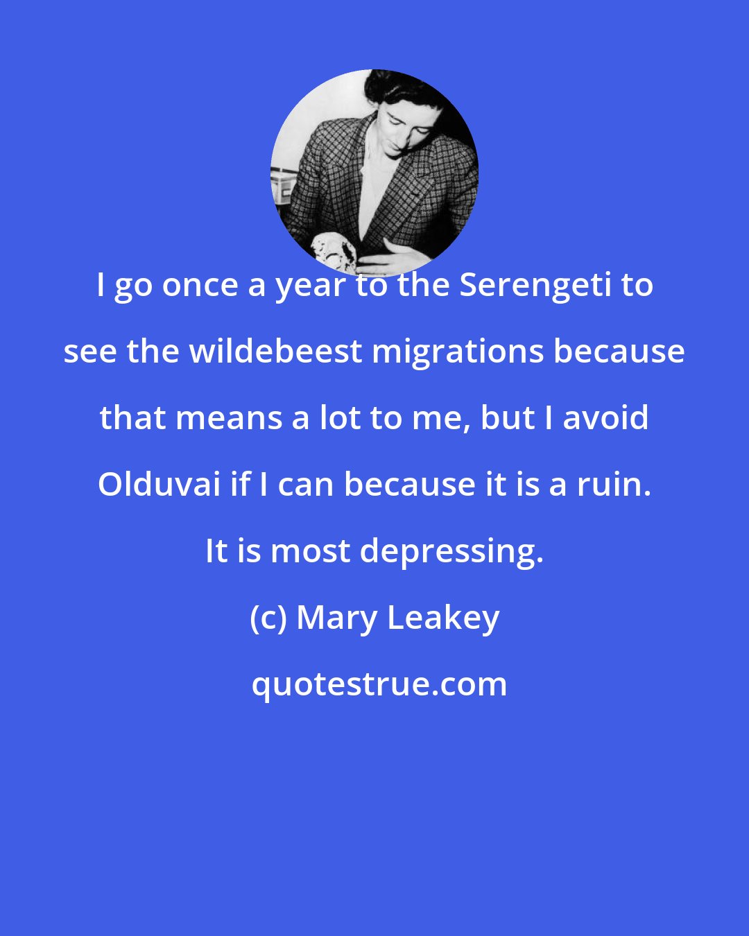 Mary Leakey: I go once a year to the Serengeti to see the wildebeest migrations because that means a lot to me, but I avoid Olduvai if I can because it is a ruin. It is most depressing.