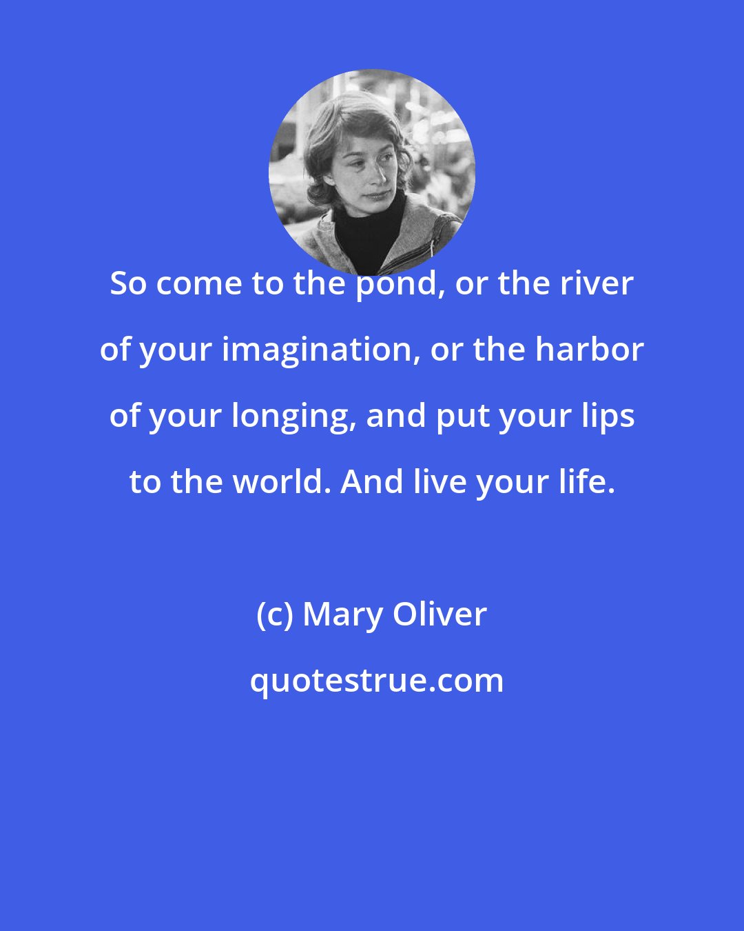 Mary Oliver: So come to the pond, or the river of your imagination, or the harbor of your longing, and put your lips to the world. And live your life.