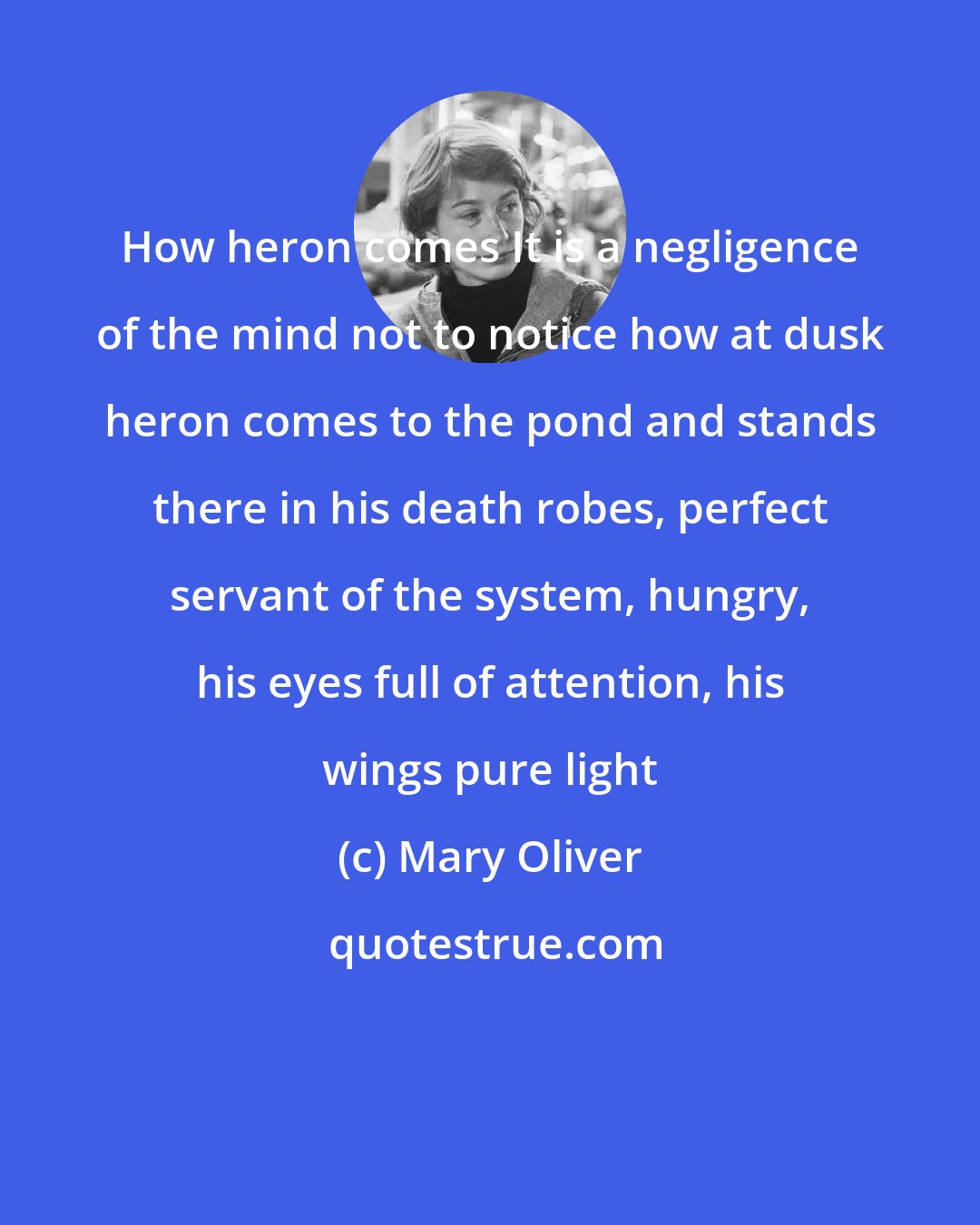 Mary Oliver: How heron comes It is a negligence of the mind not to notice how at dusk heron comes to the pond and stands there in his death robes, perfect servant of the system, hungry, his eyes full of attention, his wings pure light