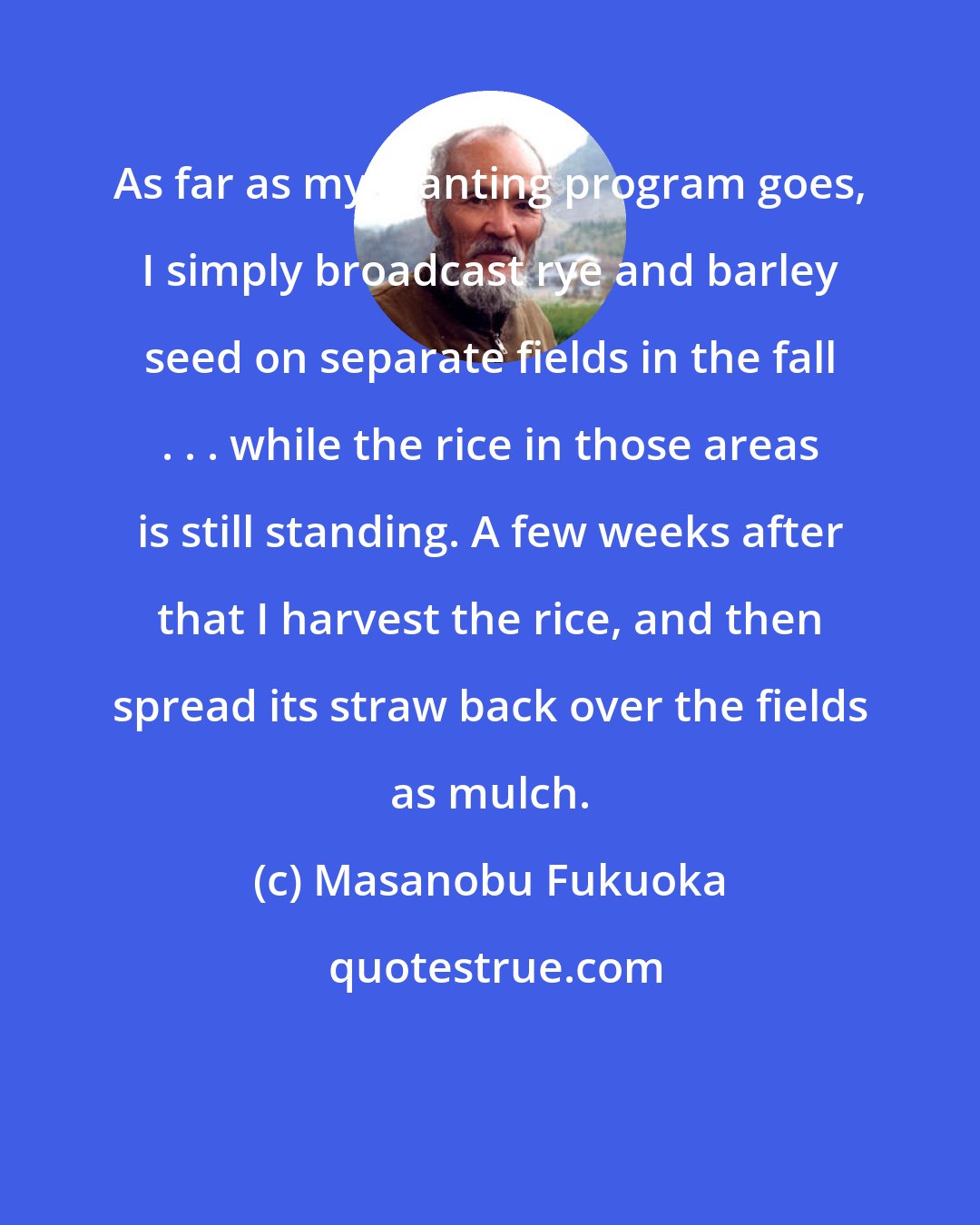 Masanobu Fukuoka: As far as my planting program goes, I simply broadcast rye and barley seed on separate fields in the fall . . . while the rice in those areas is still standing. A few weeks after that I harvest the rice, and then spread its straw back over the fields as mulch.