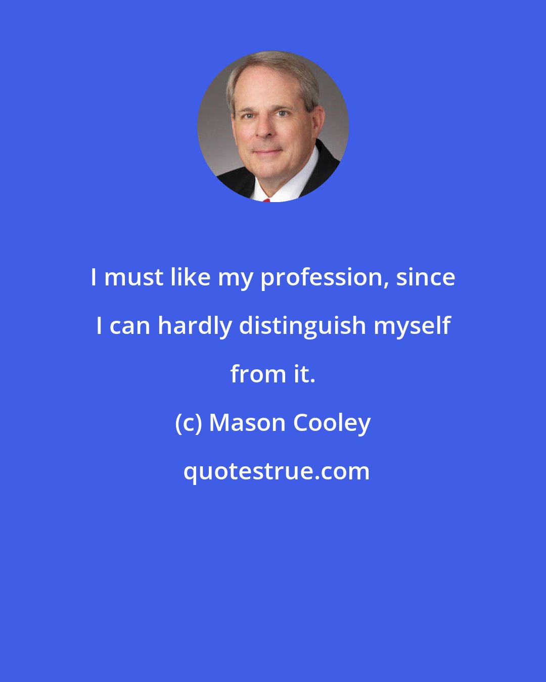 Mason Cooley: I must like my profession, since I can hardly distinguish myself from it.