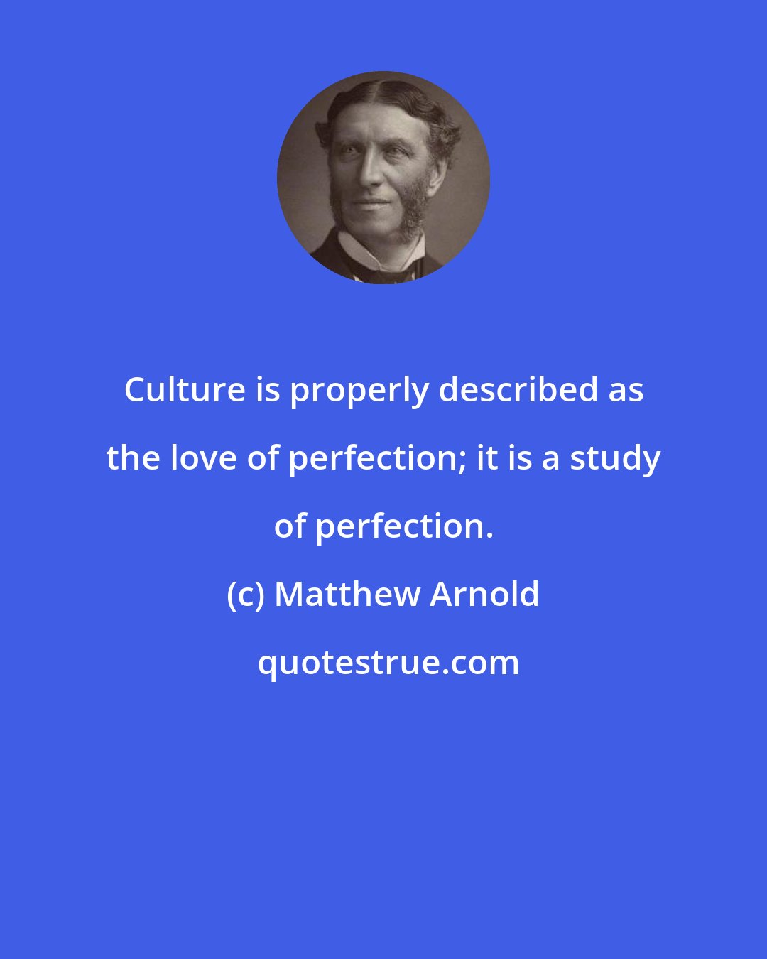 Matthew Arnold: Culture is properly described as the love of perfection; it is a study of perfection.