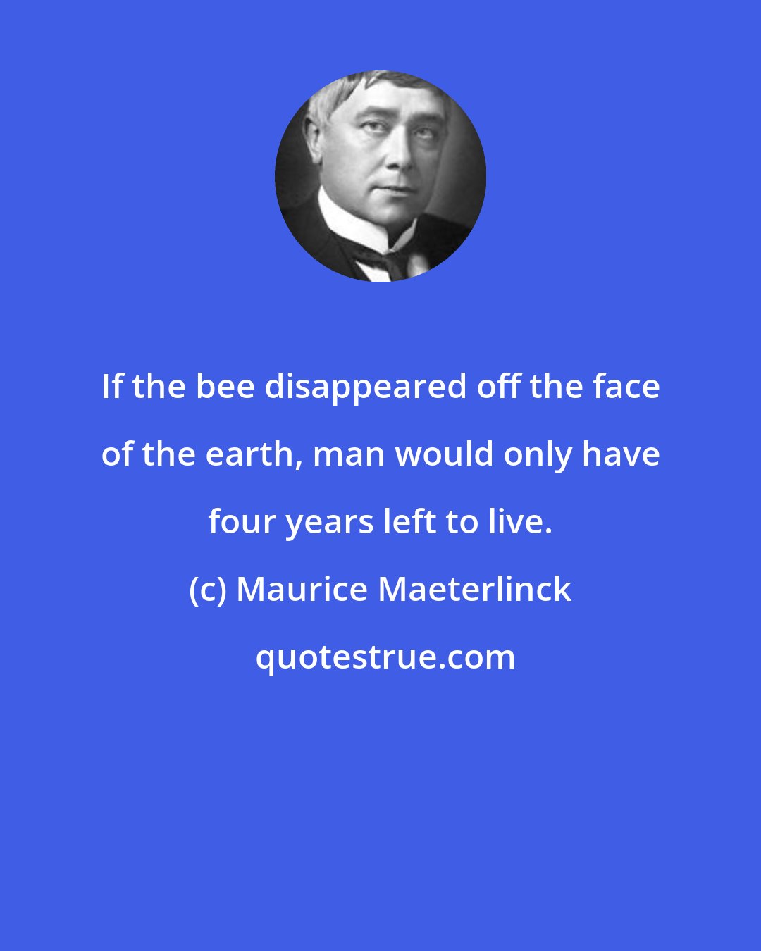 Maurice Maeterlinck: If the bee disappeared off the face of the earth, man would only have four years left to live.