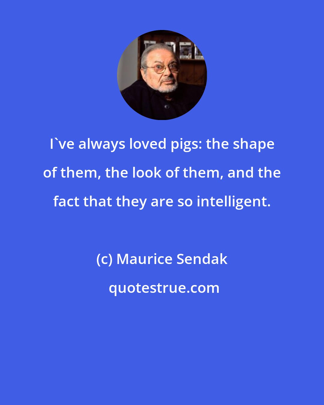 Maurice Sendak: I've always loved pigs: the shape of them, the look of them, and the fact that they are so intelligent.