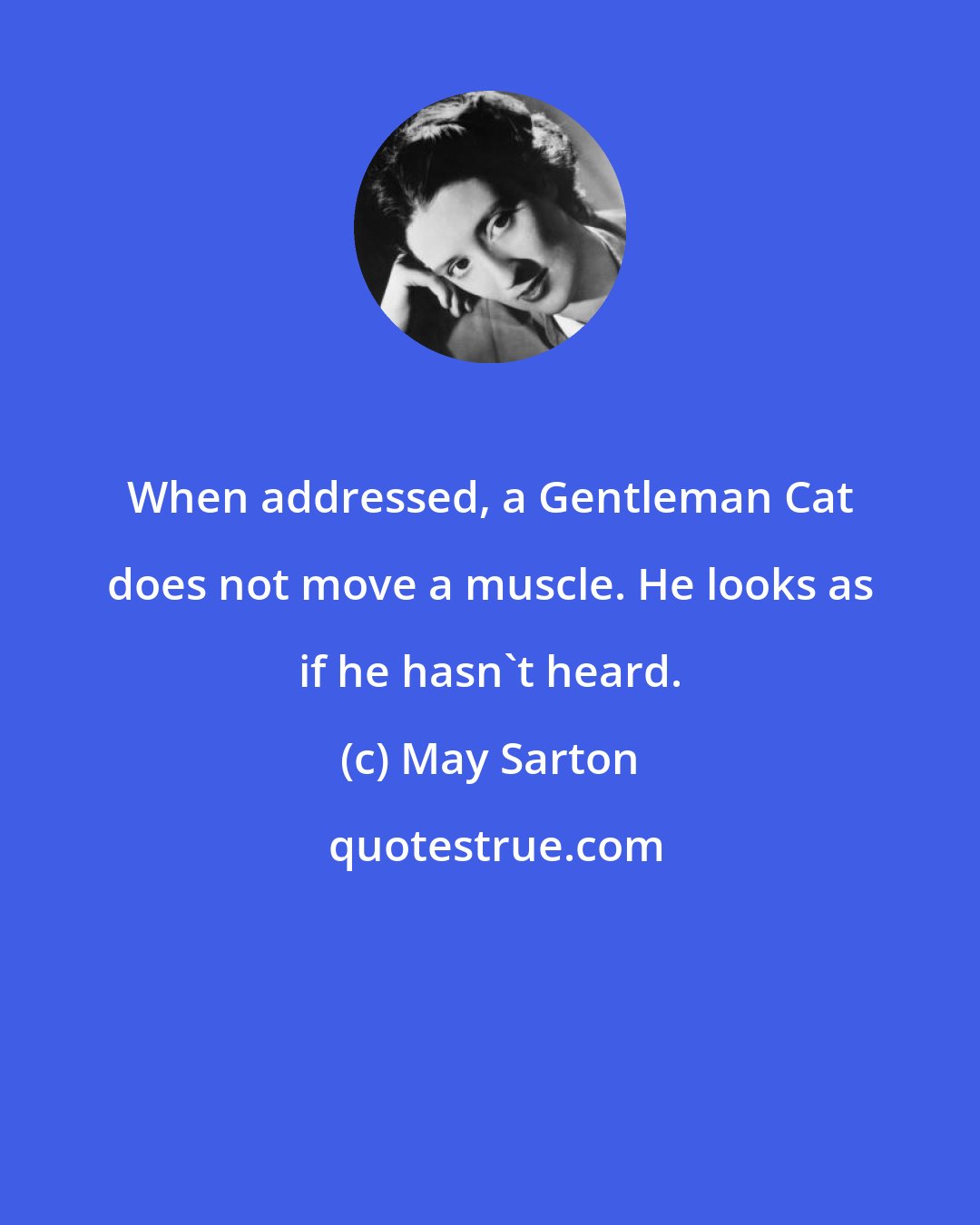 May Sarton: When addressed, a Gentleman Cat does not move a muscle. He looks as if he hasn't heard.