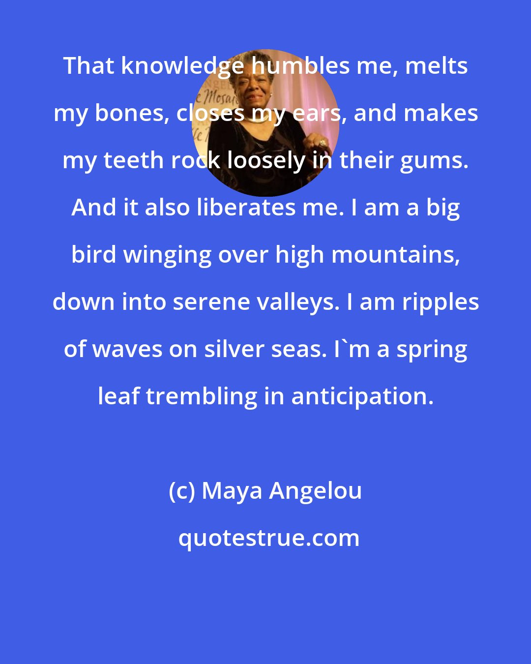 Maya Angelou: That knowledge humbles me, melts my bones, closes my ears, and makes my teeth rock loosely in their gums. And it also liberates me. I am a big bird winging over high mountains, down into serene valleys. I am ripples of waves on silver seas. I'm a spring leaf trembling in anticipation.