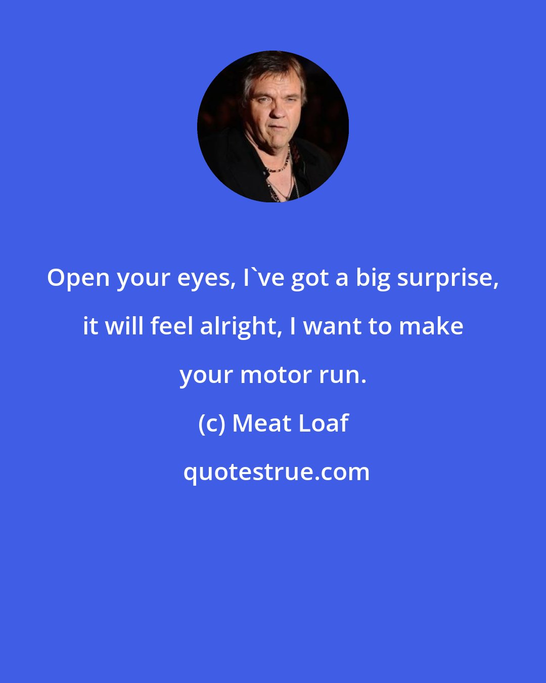 Meat Loaf: Open your eyes, I've got a big surprise, it will feel alright, I want to make your motor run.