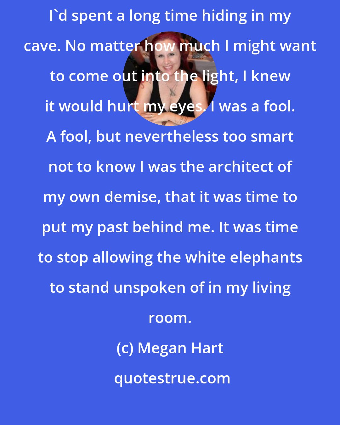 Megan Hart: Knowing what you need doesn't always mean you know how to get it, though. I'd spent a long time hiding in my cave. No matter how much I might want to come out into the light, I knew it would hurt my eyes. I was a fool. A fool, but nevertheless too smart not to know I was the architect of my own demise, that it was time to put my past behind me. It was time to stop allowing the white elephants to stand unspoken of in my living room.