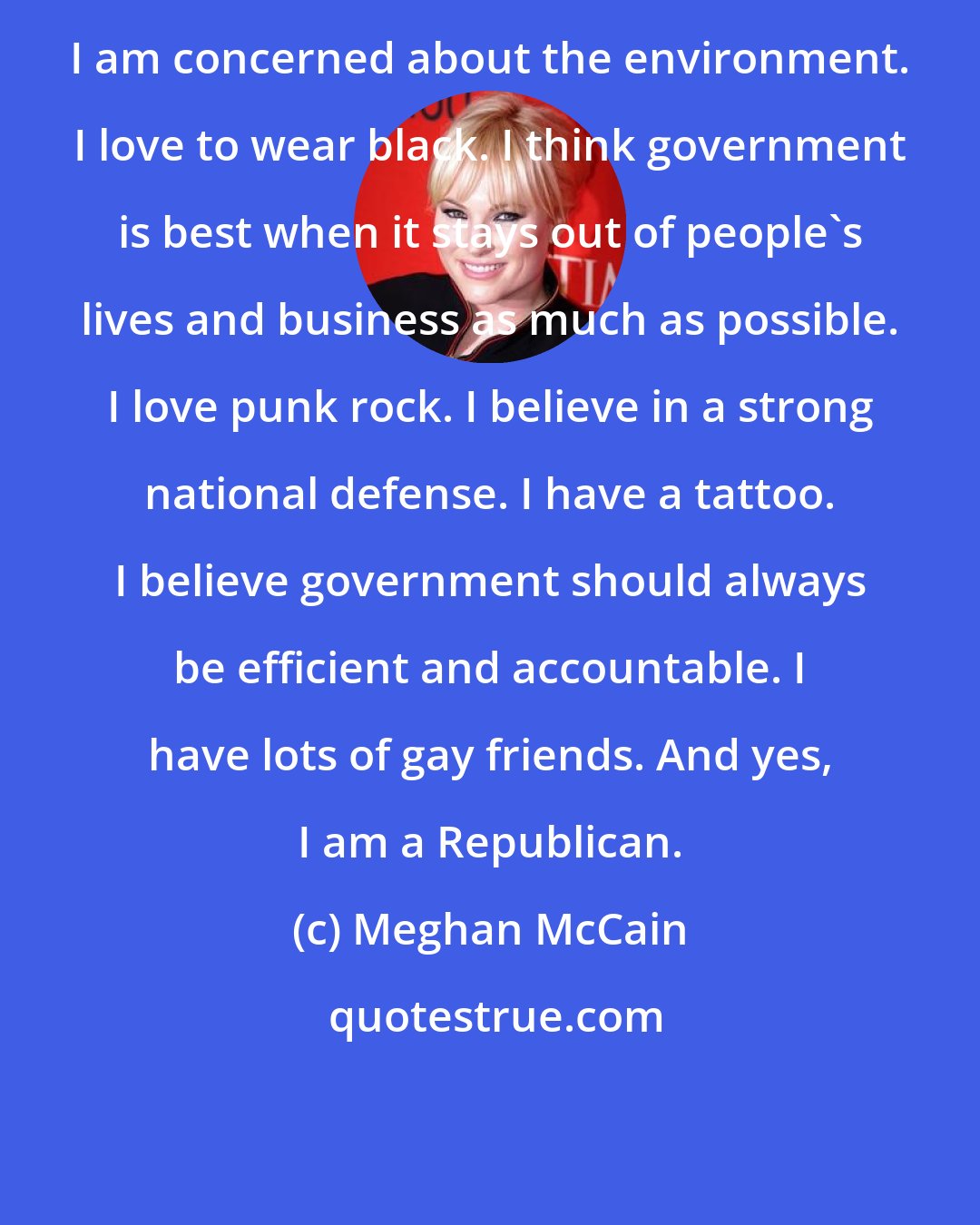 Meghan McCain: I am concerned about the environment. I love to wear black. I think government is best when it stays out of people's lives and business as much as possible. I love punk rock. I believe in a strong national defense. I have a tattoo. I believe government should always be efficient and accountable. I have lots of gay friends. And yes, I am a Republican.