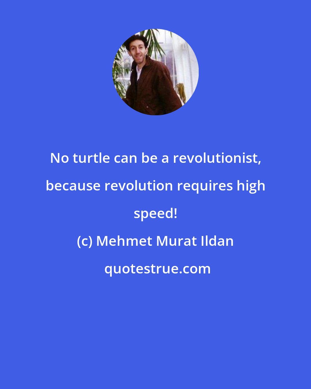 Mehmet Murat Ildan: No turtle can be a revolutionist, because revolution requires high speed!