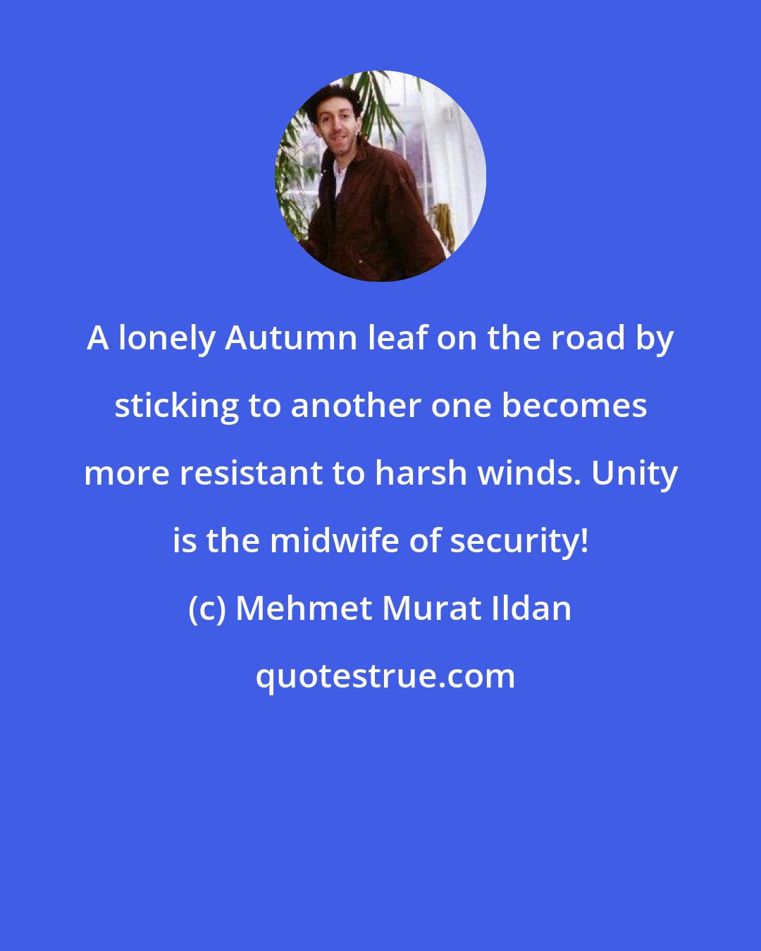 Mehmet Murat Ildan: A lonely Autumn leaf on the road by sticking to another one becomes more resistant to harsh winds. Unity is the midwife of security!