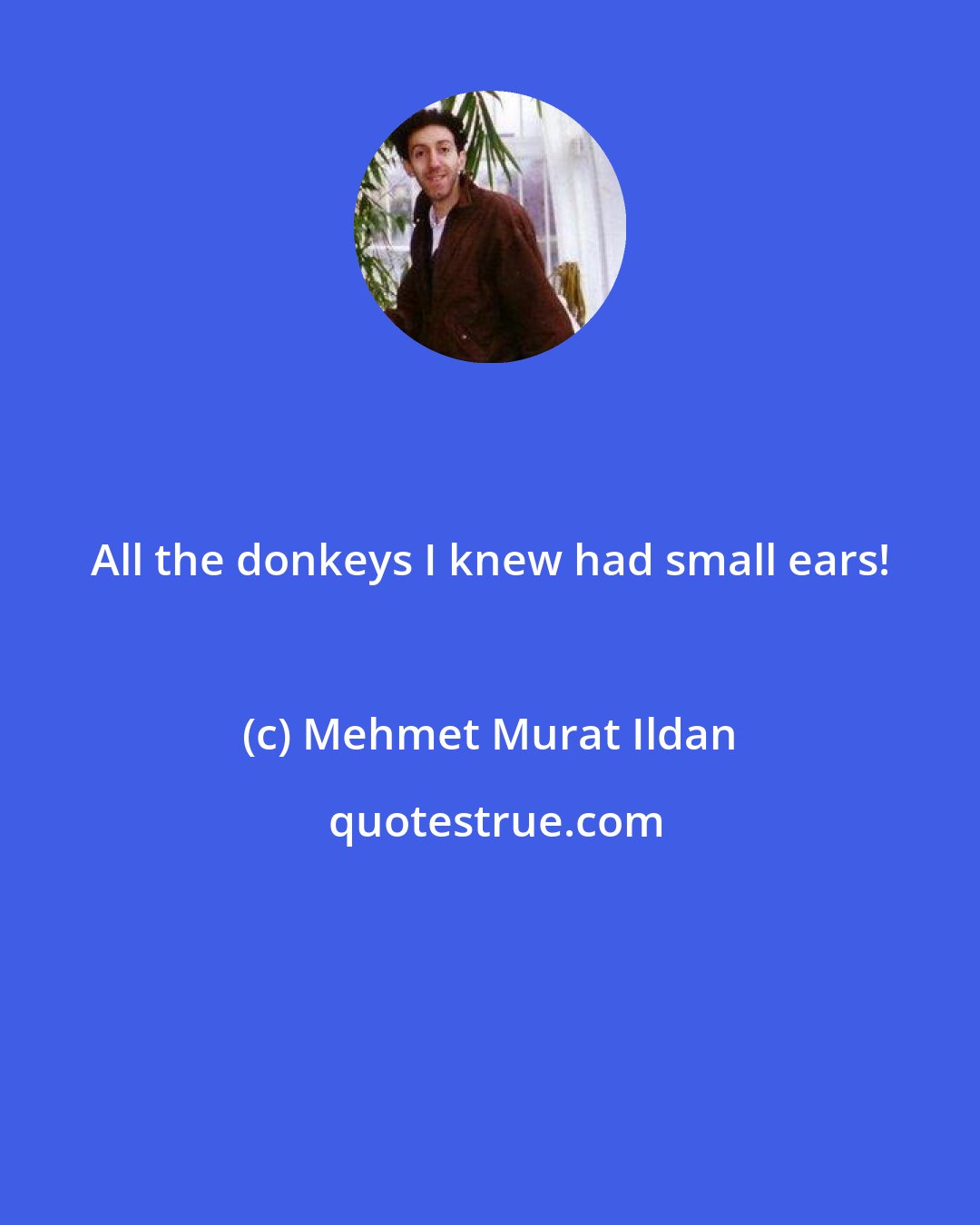 Mehmet Murat Ildan: All the donkeys I knew had small ears!