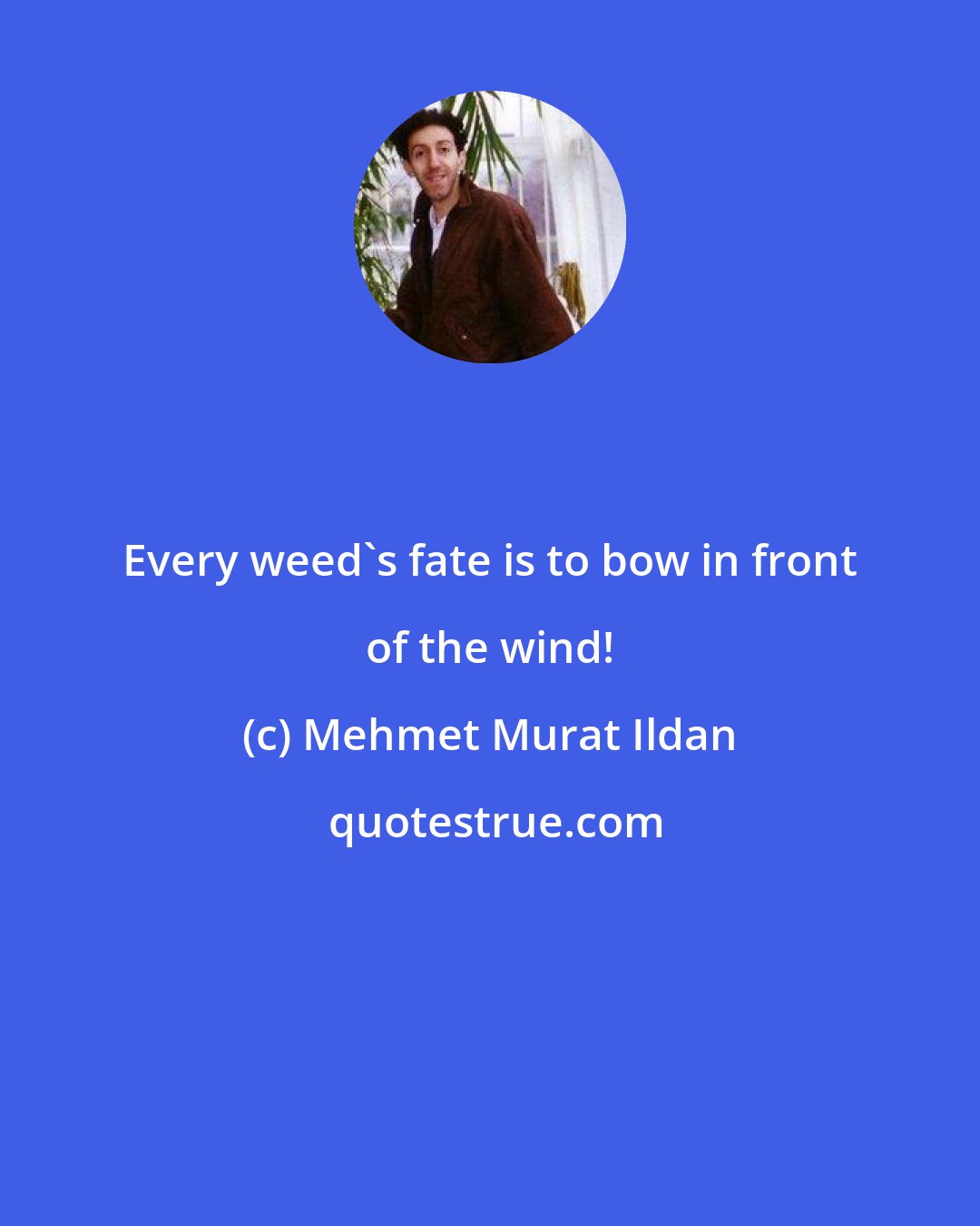 Mehmet Murat Ildan: Every weed's fate is to bow in front of the wind!