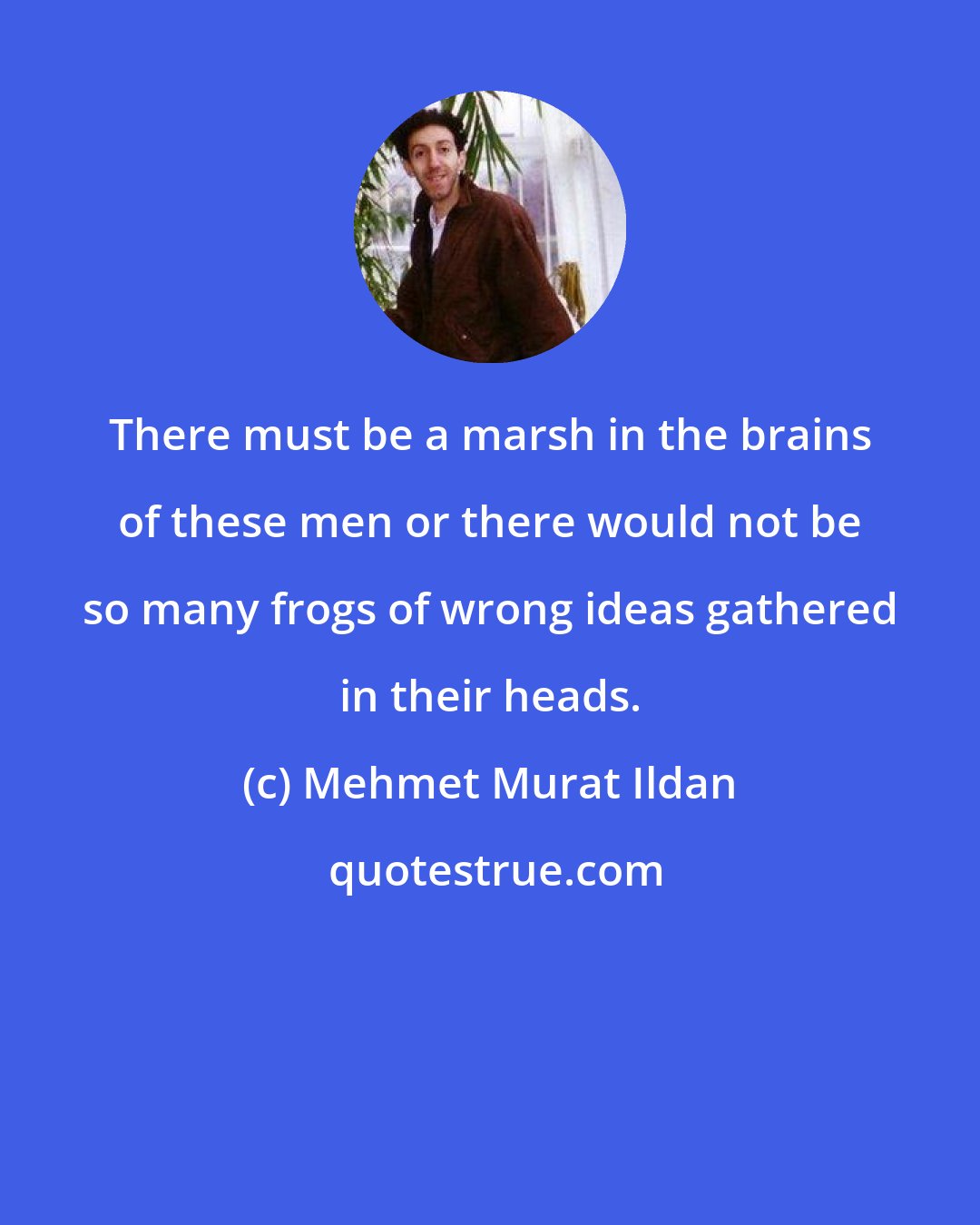 Mehmet Murat Ildan: There must be a marsh in the brains of these men or there would not be so many frogs of wrong ideas gathered in their heads.