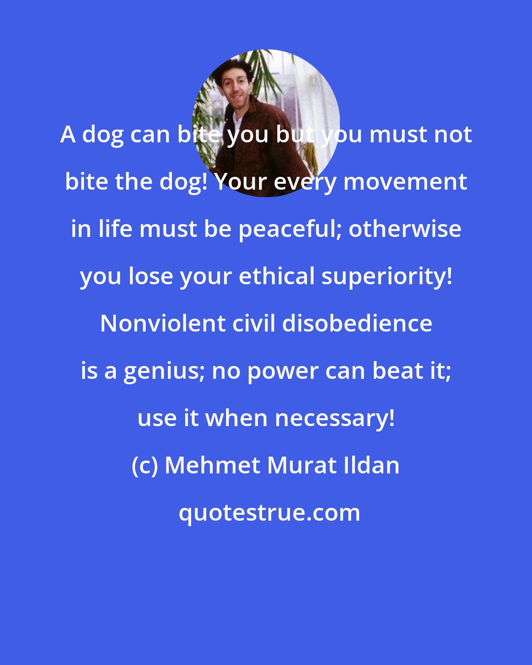 Mehmet Murat Ildan: A dog can bite you but you must not bite the dog! Your every movement in life must be peaceful; otherwise you lose your ethical superiority! Nonviolent civil disobedience is a genius; no power can beat it; use it when necessary!