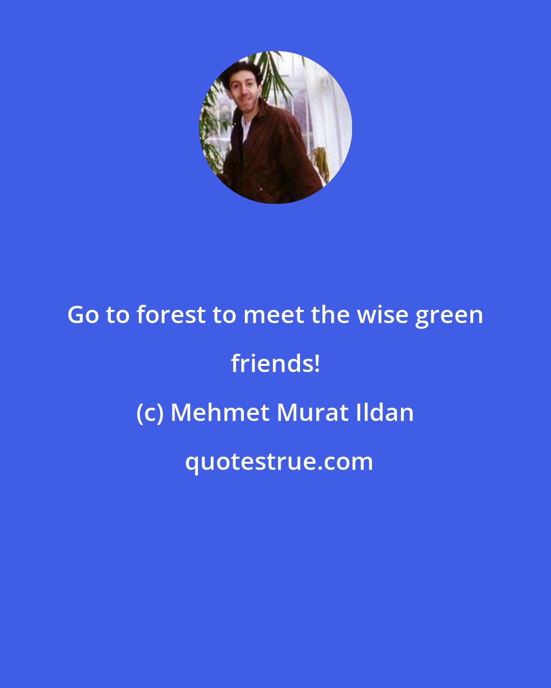 Mehmet Murat Ildan: Go to forest to meet the wise green friends!