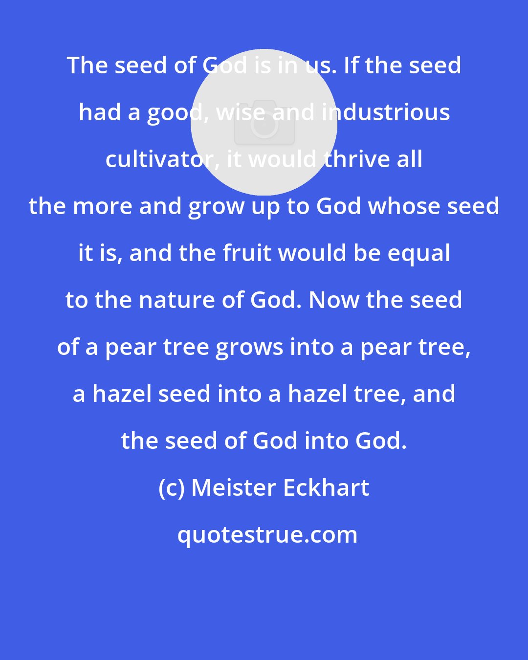 Meister Eckhart: The seed of God is in us. If the seed had a good, wise and industrious cultivator, it would thrive all the more and grow up to God whose seed it is, and the fruit would be equal to the nature of God. Now the seed of a pear tree grows into a pear tree, a hazel seed into a hazel tree, and the seed of God into God.