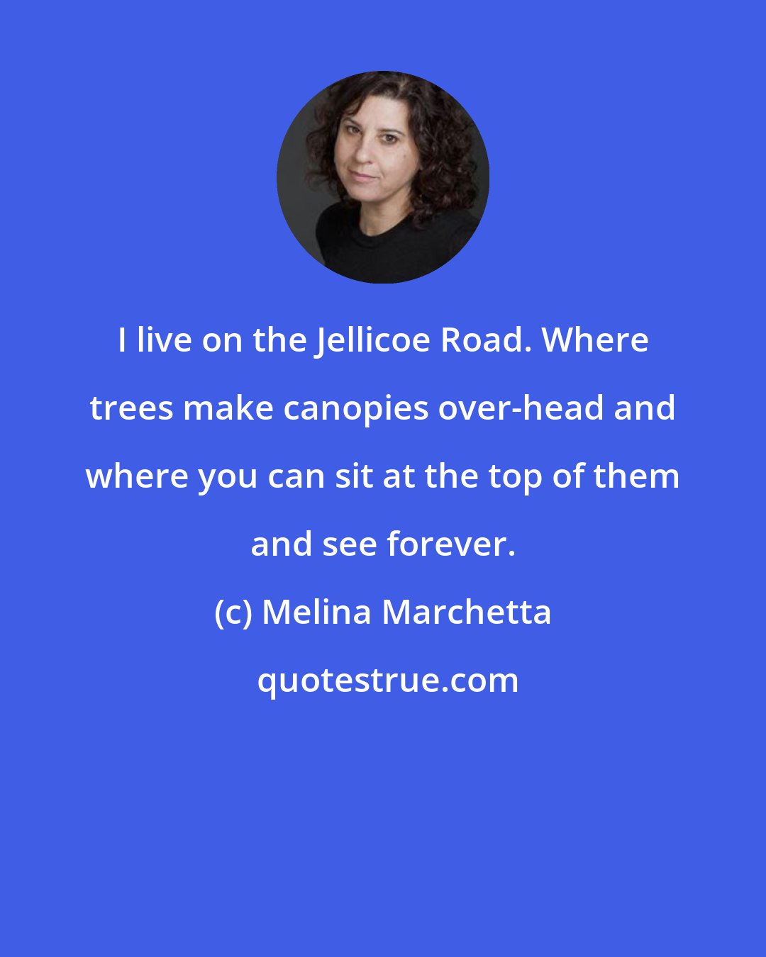 Melina Marchetta: I live on the Jellicoe Road. Where trees make canopies over-head and where you can sit at the top of them and see forever.