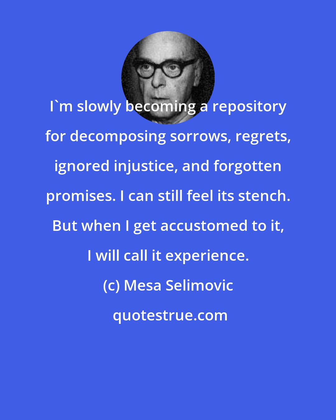 Mesa Selimovic: I'm slowly becoming a repository for decomposing sorrows, regrets, ignored injustice, and forgotten promises. I can still feel its stench. But when I get accustomed to it, I will call it experience.