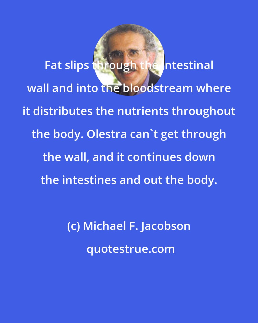 Michael F. Jacobson: Fat slips through the intestinal wall and into the bloodstream where it distributes the nutrients throughout the body. Olestra can't get through the wall, and it continues down the intestines and out the body.