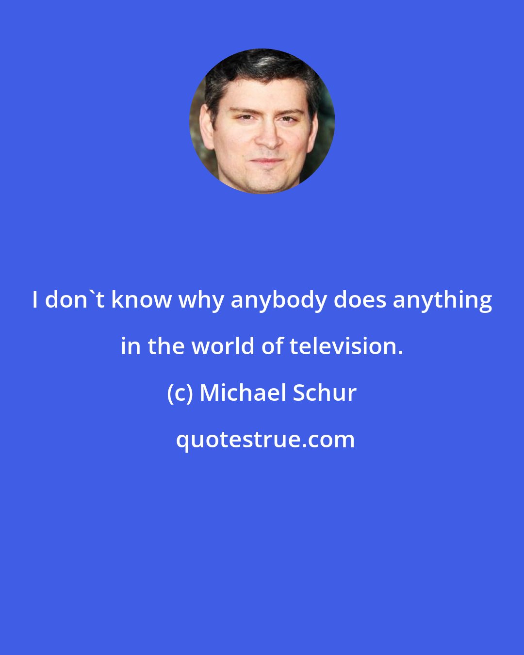 Michael Schur: I don't know why anybody does anything in the world of television.