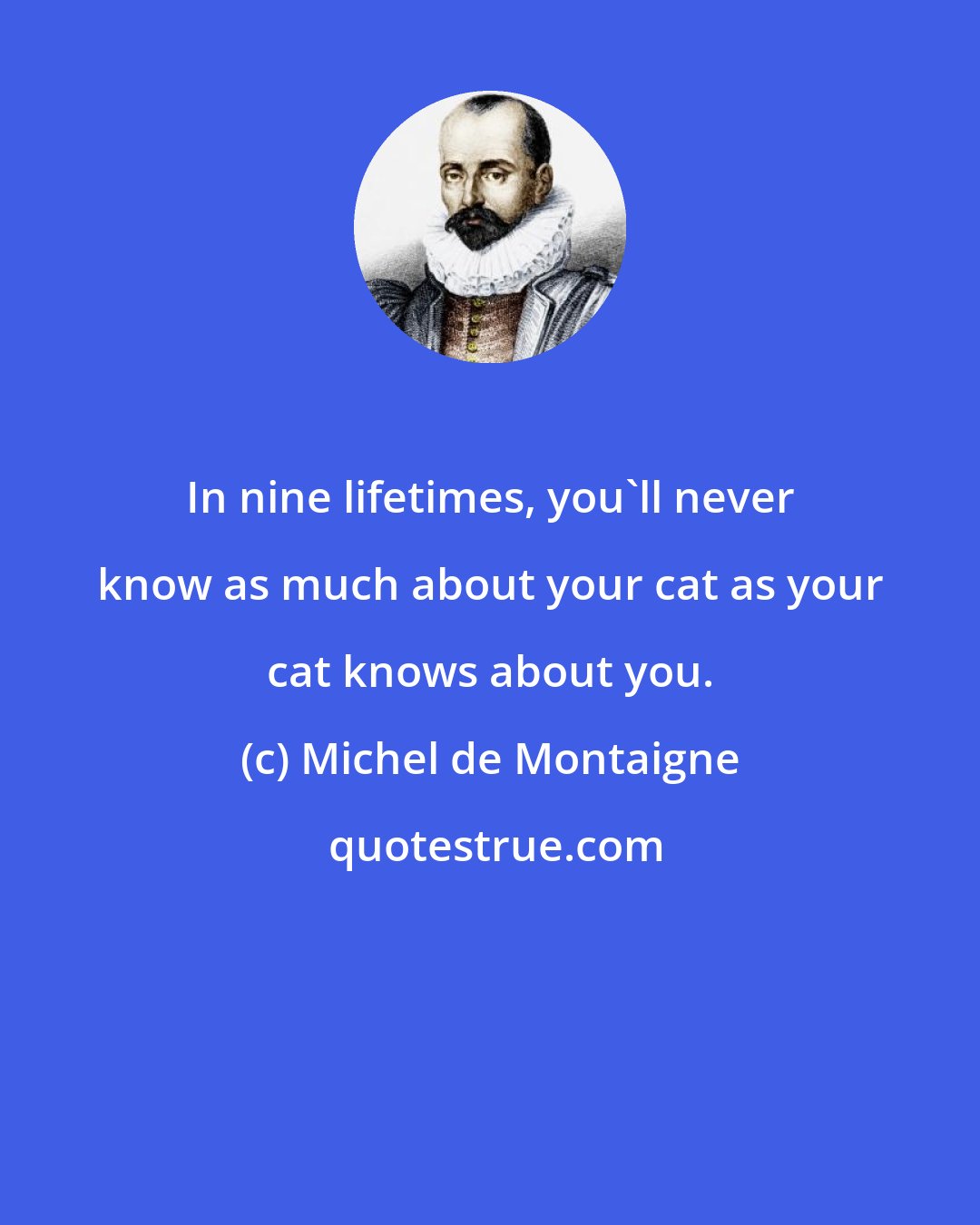 Michel de Montaigne: In nine lifetimes, you'll never know as much about your cat as your cat knows about you.