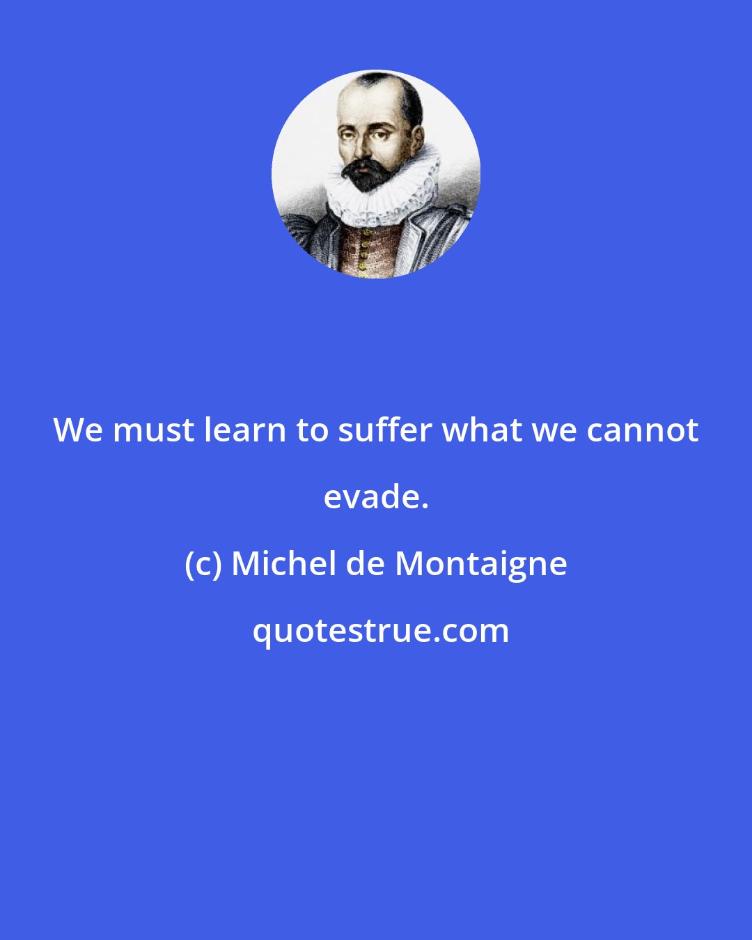 Michel de Montaigne: We must learn to suffer what we cannot evade.