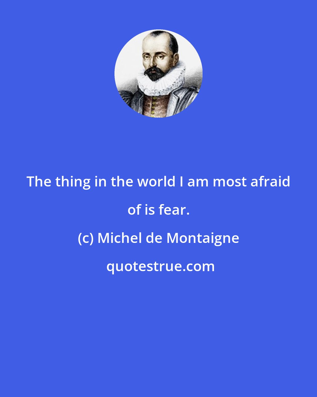 Michel de Montaigne: The thing in the world I am most afraid of is fear.