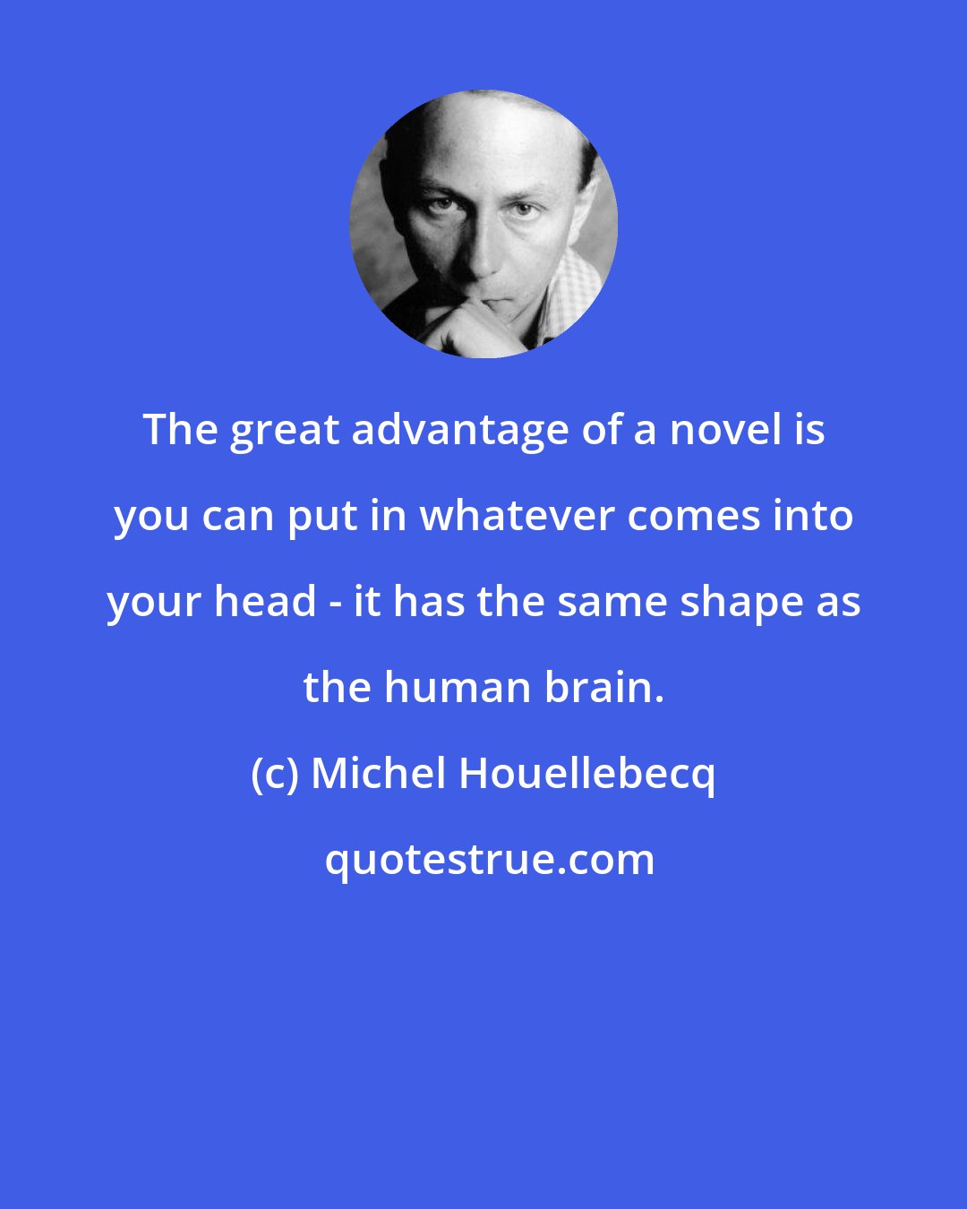 Michel Houellebecq: The great advantage of a novel is you can put in whatever comes into your head - it has the same shape as the human brain.