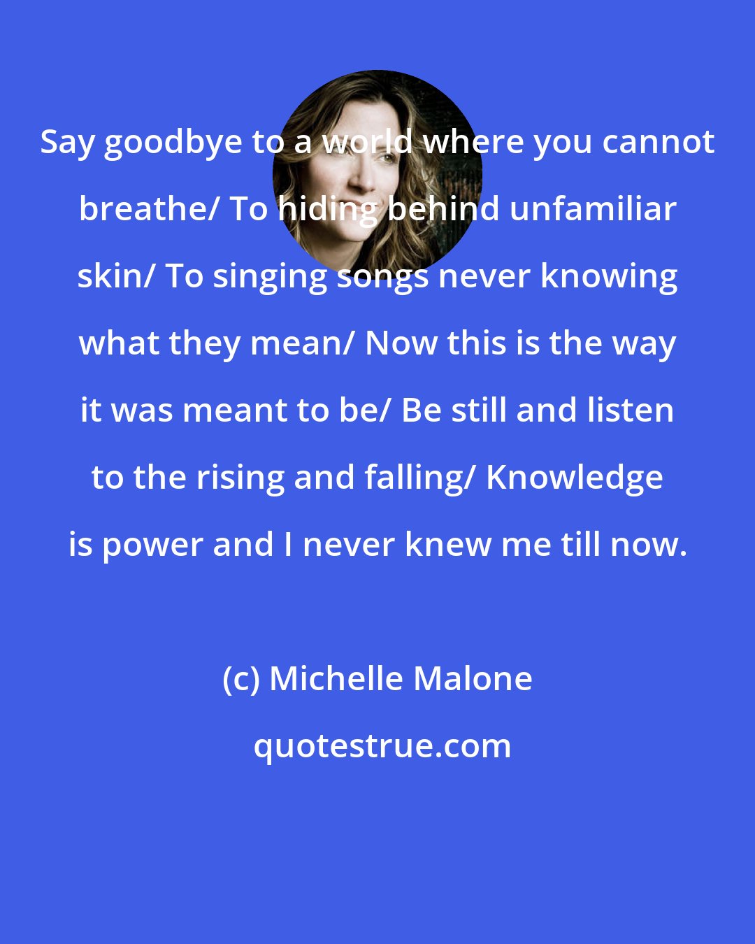 Michelle Malone: Say goodbye to a world where you cannot breathe/ To hiding behind unfamiliar skin/ To singing songs never knowing what they mean/ Now this is the way it was meant to be/ Be still and listen to the rising and falling/ Knowledge is power and I never knew me till now.
