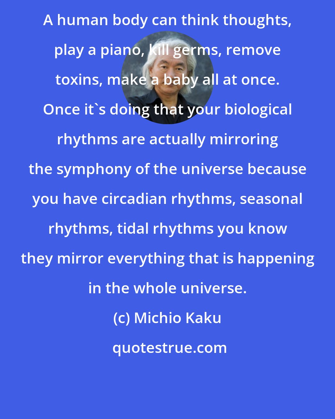 Michio Kaku: A human body can think thoughts, play a piano, kill germs, remove toxins, make a baby all at once. Once it's doing that your biological rhythms are actually mirroring the symphony of the universe because you have circadian rhythms, seasonal rhythms, tidal rhythms you know they mirror everything that is happening in the whole universe.